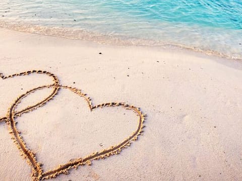 honeymoon on beach