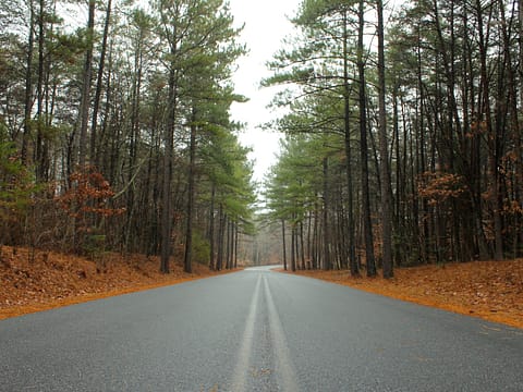North Carolina